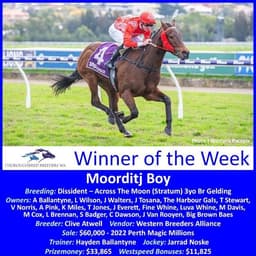 Moorditj Boy – TBWA Winner of the Week