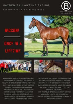 Magic Millions Purchases