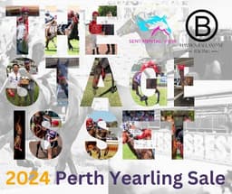 2024 Perth Yearling Sales