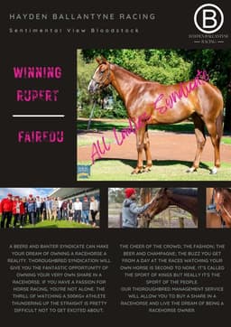 Magic Millions Purchases