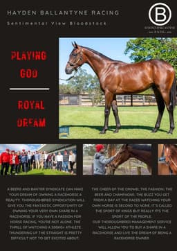 Magic Millions Purchases