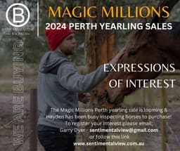 2024 Perth Yearling Sales